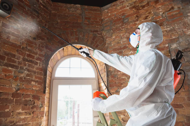 Professional Mold Removal & Remediation in Nicoma Park, OK